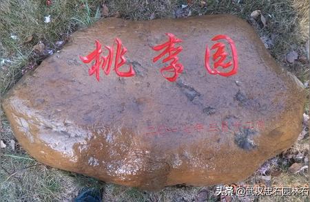 武汉地大桃李园：龟纹石打造独特小区景观