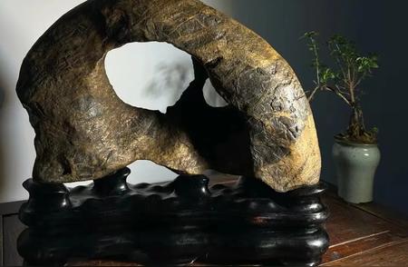 透月岩太湖石：46长、42高、13厚
