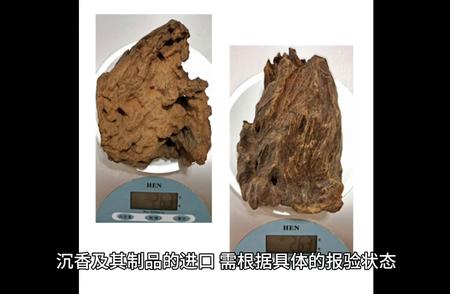 进口沉香木的货运路径：关注要点一览