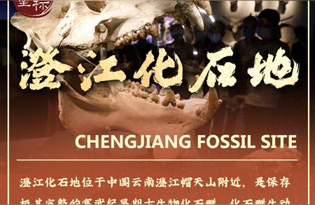 云南之美：探索澄江，地球上的化石瑰宝