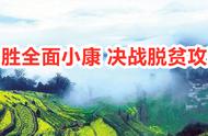 婺源：千年树叶的荣耀与中国最美乡村的崛起
