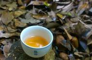 普洱茶的春茶、秋茶和夏茶，哪个更适合品饮？