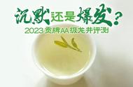 2023年贡牌AA级龙井茶：沉默中的爆发还是持续的垮塌？