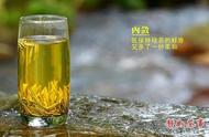 5分钟速成：中国黄茶全面解读