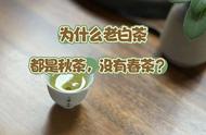 老白茶：秋茶的主导者，春白茶的保存问题？