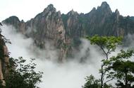 黄山毛峰——朵形名优绿茶的代表