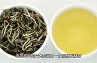白茶：中国六大茶类之一