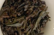 乌龙茶是什么？为什么有些乌龙茶的口感像红茶，有些却像绿茶？
