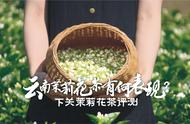 下关茉莉花茶评测：云南的隐藏美酒？