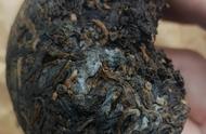 熟茶中的霉菌含量高达5亿！普洱茶是否还能安全饮用？