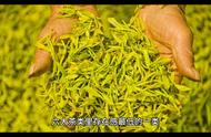六大茶类：绿茶、黄茶、白茶、青茶、黑茶的制作工艺详解