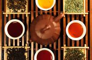 茶叶的分类：多种依据下的多样性