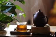 武夷岩茶探秘：一泡“大红袍”的故事（下）