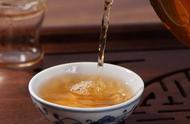 为什么普洱茶爱好者更偏爱生普而非熟普？