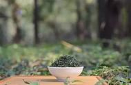 探索华夏茶文化：信阳毛尖绿茶系列