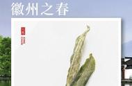 春日徽州：绿茶毛峰的韵味