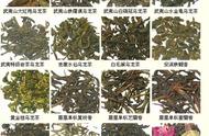 中国名茶制作教程：轻松学会DIY