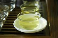 青茶探秘：六大茶类中的瑰宝