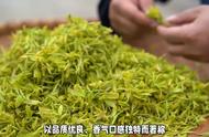 探索绿茶的瑰宝：黄山毛峰