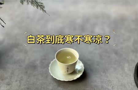 白茶是否真的寒性？一周喝五次的传闻是真的吗？