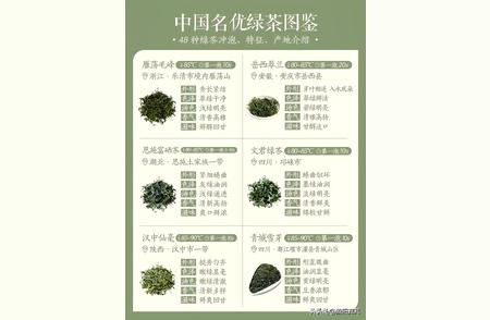 中国绿茶大全：48种名优绿茶的冲泡技巧与产地特色
