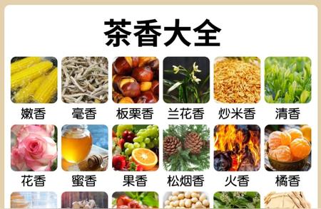 茶叶香气的奥秘：揭秘不同种类茶叶的独特香味