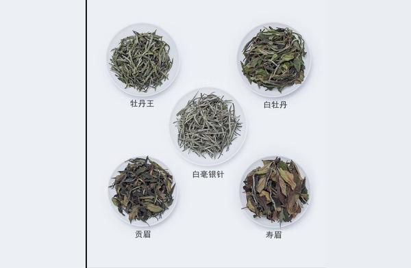 白茶的六大种类：干茶色泽与白毫银针、寿眉的差异解析
