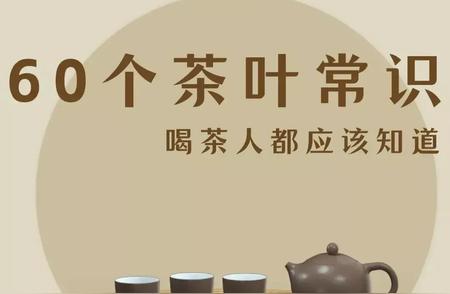 茶叶知识全解析：60个喝茶人必备常识