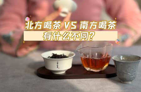 北方与南方的茶文化差异：老茶客揭秘四大显著特点