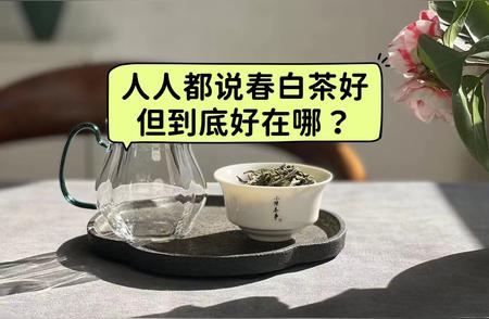 春白茶的四大优点：稀少、美味、营养且丰富