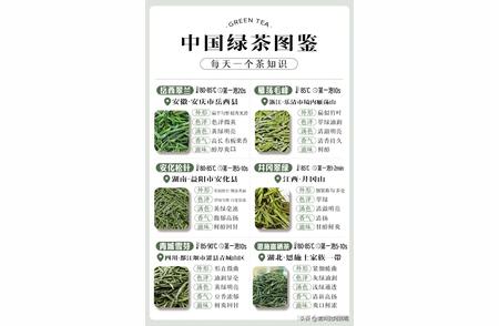 中国绿茶大全！收藏起来慢慢品味，增长见识！
