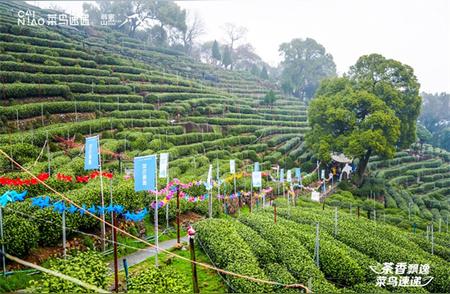 翁家山村的喊山仪式：茶树发芽，祈福新一年的西湖龙井丰收