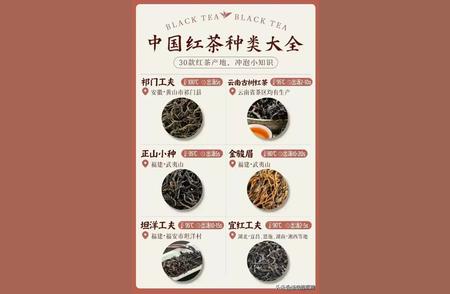 中国红茶种类全览：一份值得收藏的参考手册