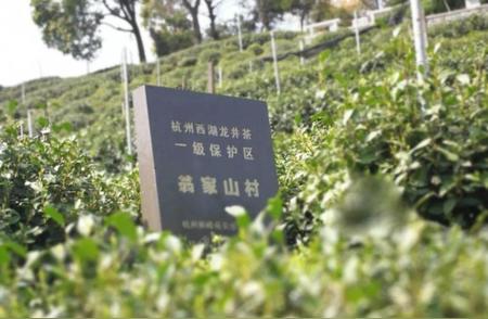 揭秘龙井茶的三大主要产地和五大核心产区