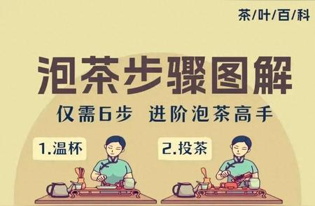 掌握六大泡茶技巧，变身茶艺大师