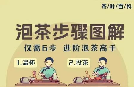 掌握6个技巧变身泡茶大师，随时查看收藏