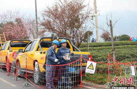 电力驱动，点亮黔茶：中国富锌富硒有机茶之乡的转型之路