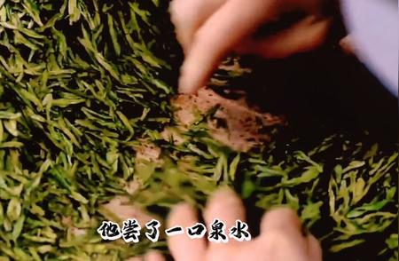 传说揭秘：龙井茶园的神秘故事