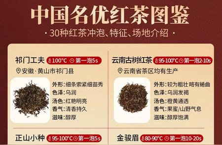 红茶全指南：品种、原产地与风味探索