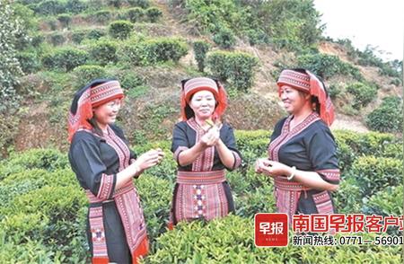 祝雪兰：桂全国人大代表倡导六堡茶，助力广西农业特色发展