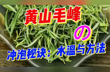 黄山毛峰：掌握茶文化的冲泡艺术