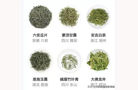 探索茶的世界：单品名称与实物图鉴