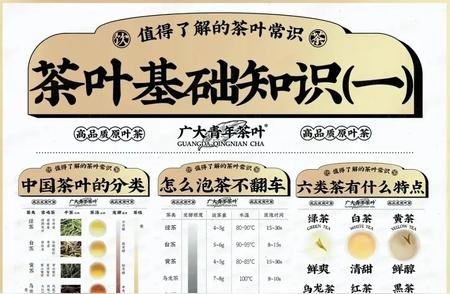 茶叶知识大全：品鉴与鉴赏秘籍