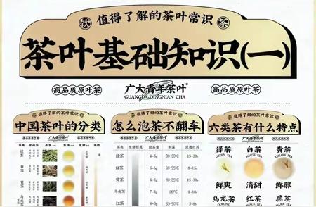 茶叶知识大全：品鉴与鉴赏