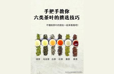 六种茶叶挑选秘籍，带你变身选茶高手！