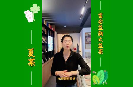 普洱夏茶入门：轻松学习指南