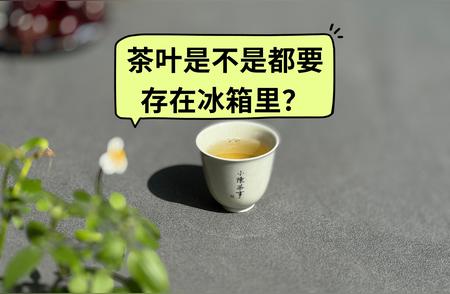 茶叶储存指南：冷藏与常温下的最佳选择