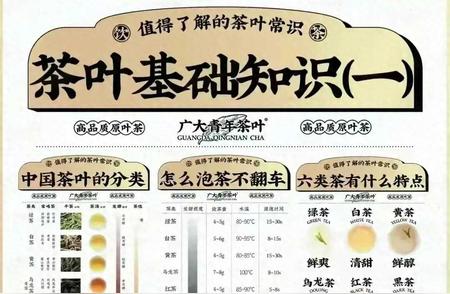 茶叶大全：提升你的茶文化认知