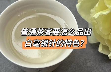 探索白毫银针：如何欣赏这种顶级白茶？