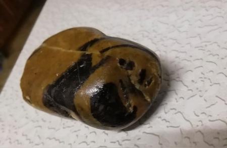 561元淘来的奇特石头，韩大叔意外发现竟是价值连城的摩尔石